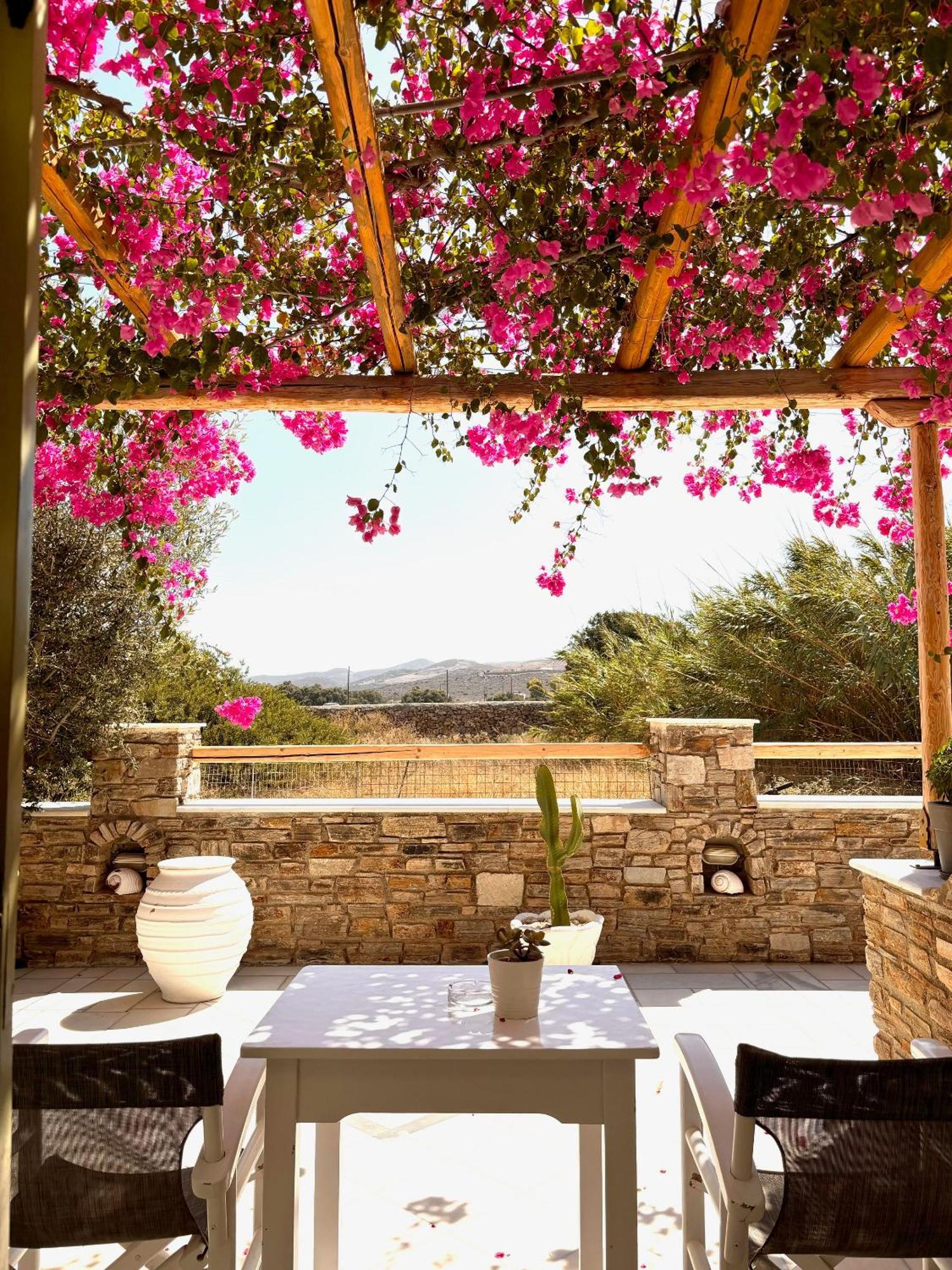 Aegeo Inn Antiparos Exterior photo